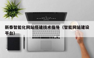 沙洋新泰智能化网站搭建技术指导（智能网站建设平台）